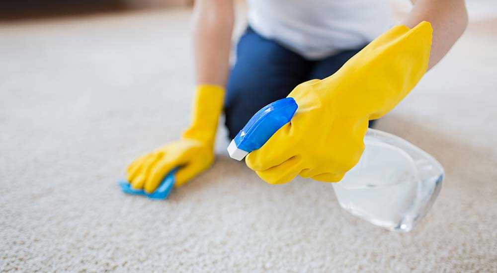 Pet odor removal from carpet