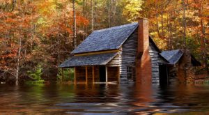 flooded cabin